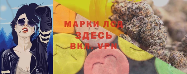 ALPHA PVP Беломорск