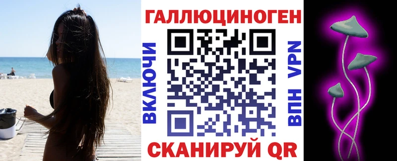 Псилоцибиновые грибы Psilocybe  Купить где  Удачный 